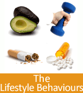 Lifestyle Behaviours